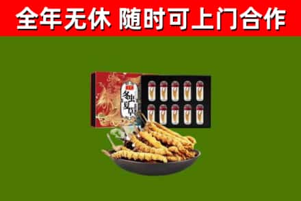 江陵回收冬虫夏草价格